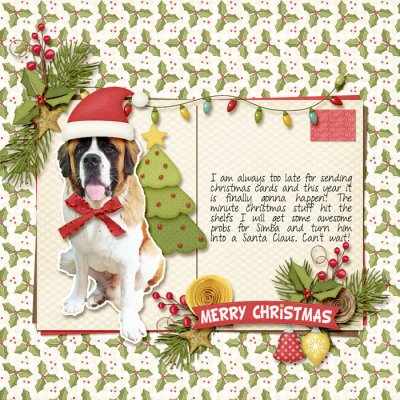 This years christmas card