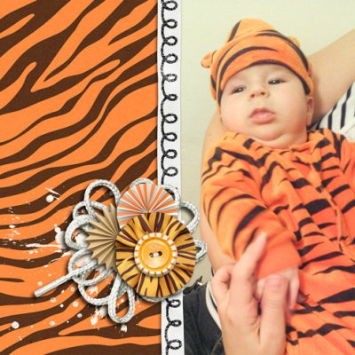 Little tiger