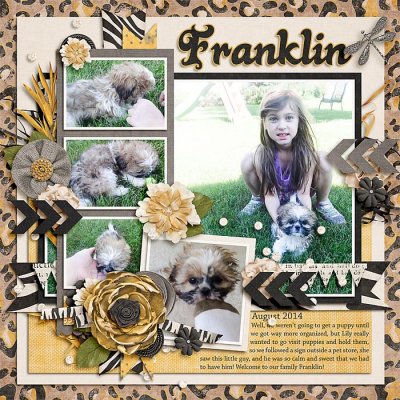 Franklin