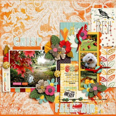 Crisp Fall Air