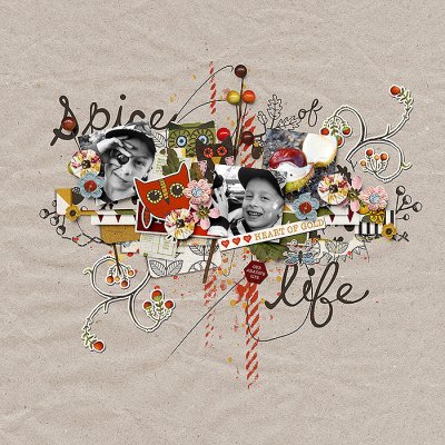 The Spice Of Life