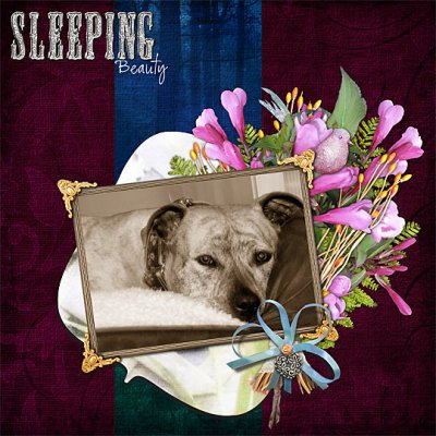 Sleeping Beauty