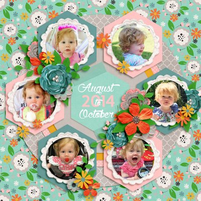 August to October 2014