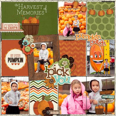 Harvest Memories