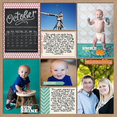 Project 2014: Week 40 (left)