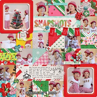 snapshots of joy