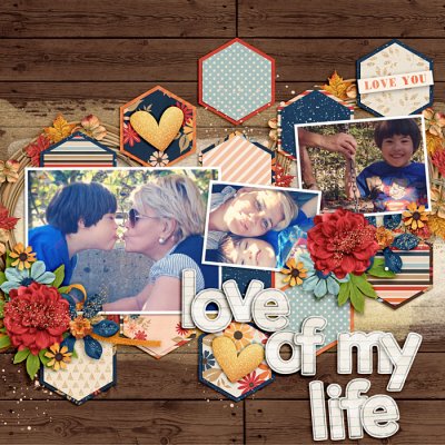 love of my life