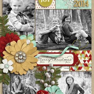 2014 Christmas Card