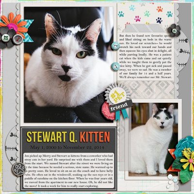 Stewart Q. Kitten