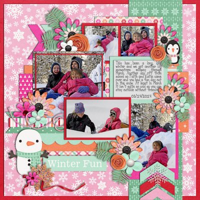 Winter Fun