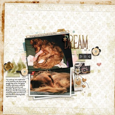 Dream Of A Dog