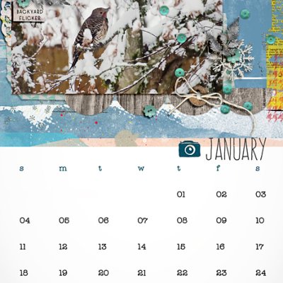 2015 Calendar - January