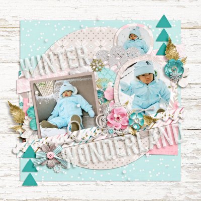 winter wonderland