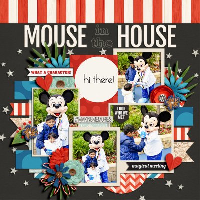 mouse-in-the-house