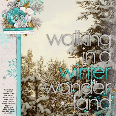 Winter Wonderland