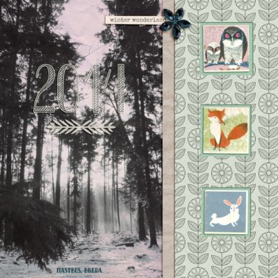 Winter Woodland