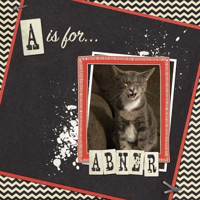 2015 Jan Bingo: A is for...