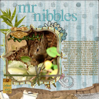 Mr. Nibbles