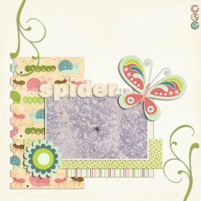 Spider
