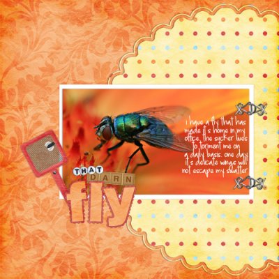 Thatdarnflyweb