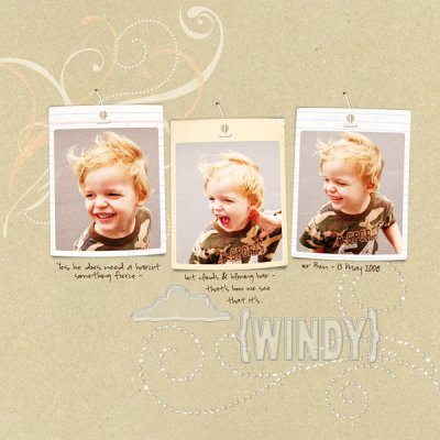 windy