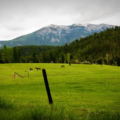 Shutterbug Shakedown #12  - Your Town