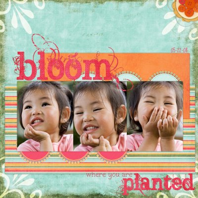 Bloom