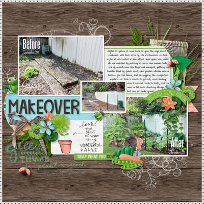 Garden Makeover