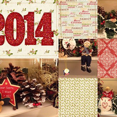 ms-mantle2014-prev