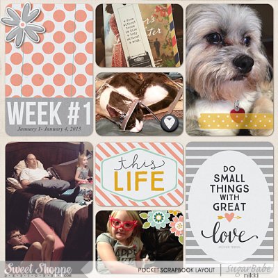 Project Life 2015 Week 1