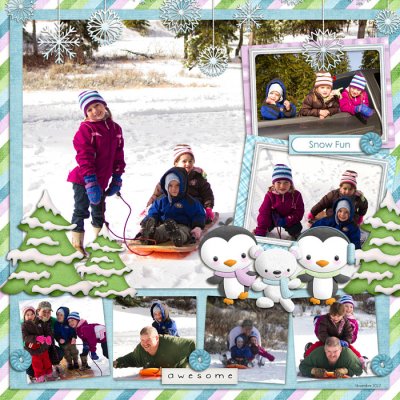 Snow Fun