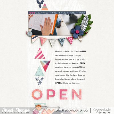 OLW 2015: Open