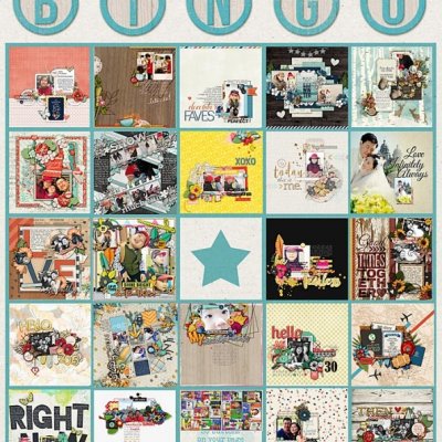January 2015 Bingo Card