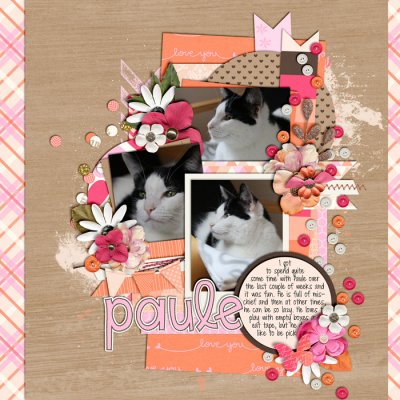 Paule
