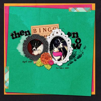 2015 Jan Bingo: Then & Now