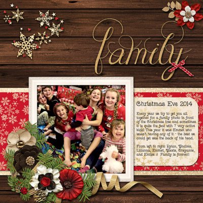 Family - family portrait challenge