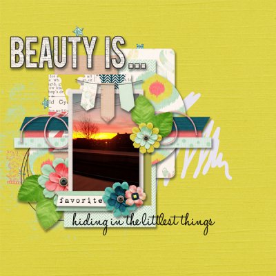 Bingo Feb Nr12 - 'Beauty is...Little Things'
