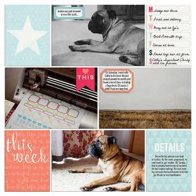 Project 2015- Week 5 (right)