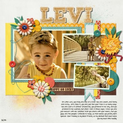 Levi