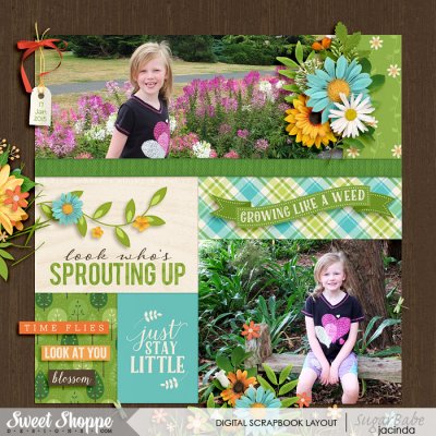 Sprouting up