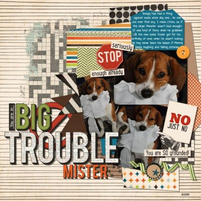 Big Trouble Mister