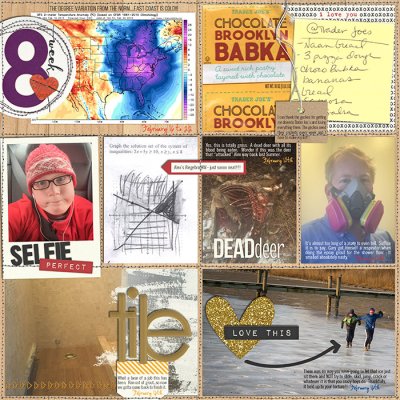 2015 Week 8 (p1)