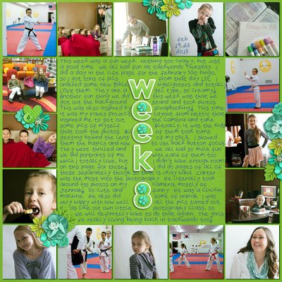 Project Life 2015 - Week 8 - Feb 19-25