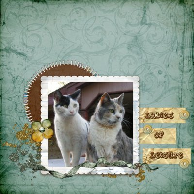 Ladies of Leisure