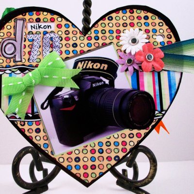 Hybrid Workshop- Nikon d70