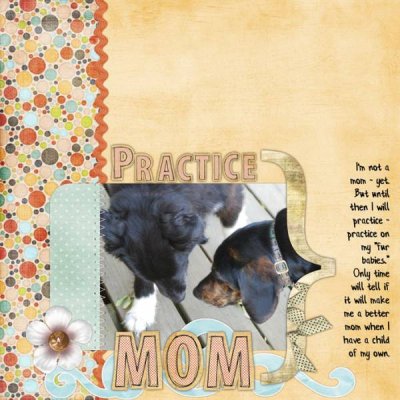 Practice Mom