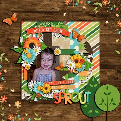Sprout
