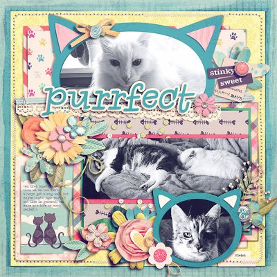 purrfect
