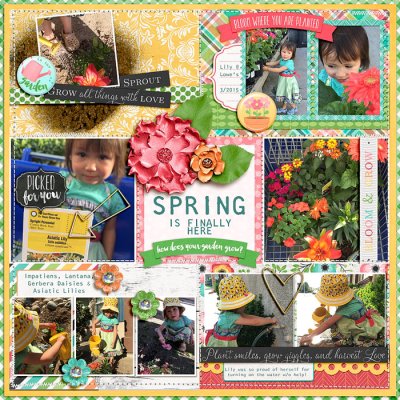 Spring is Here