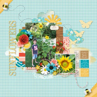 Sunflowers